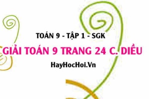 Giải Toán 9 trang 24 tập 1 Cánh Diều